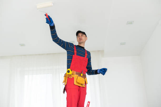 Best Water Damage & Mold Remediation  in Culloden, WV
